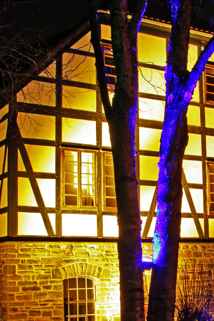 blauer Baum vor Papiermühle.JPG